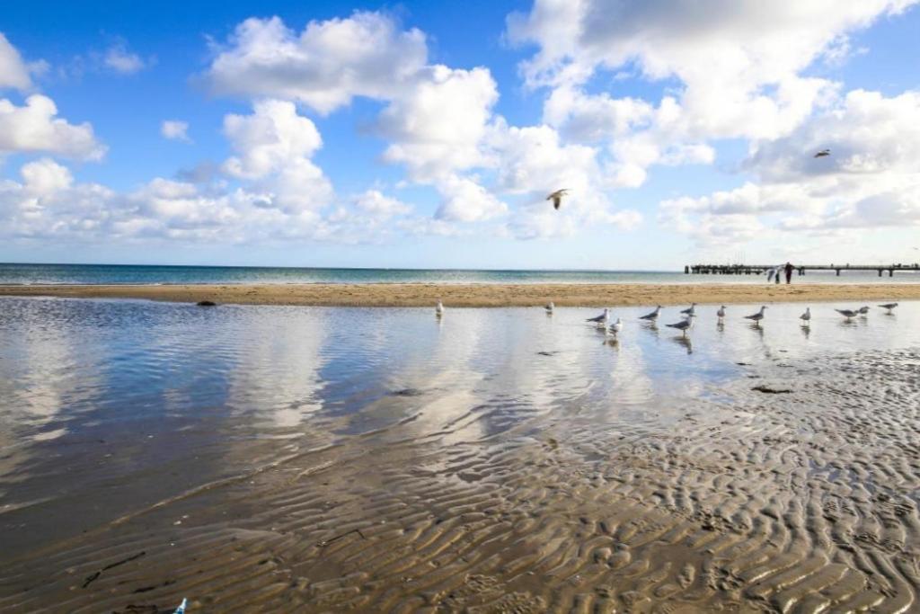 Ferienwohnung Seesternchen 3 Scharbeutz Esterno foto