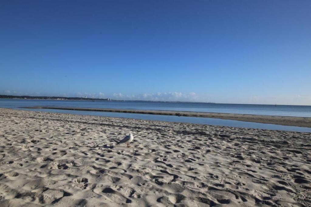Ferienwohnung Seesternchen 3 Scharbeutz Esterno foto